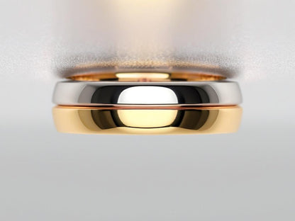 Argollas Bi Gold & Silver